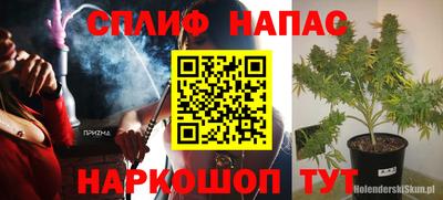 крисы Пыть-Ях