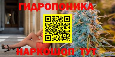 jwh Рыбинск