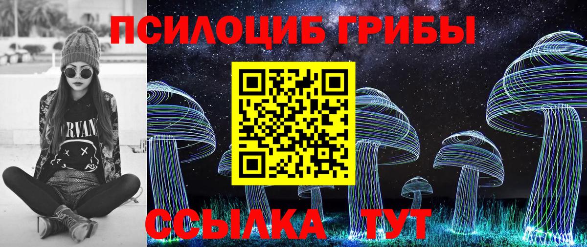 Острогожск  Псилоцибиновые грибы мухоморы  Вход с VPN 
